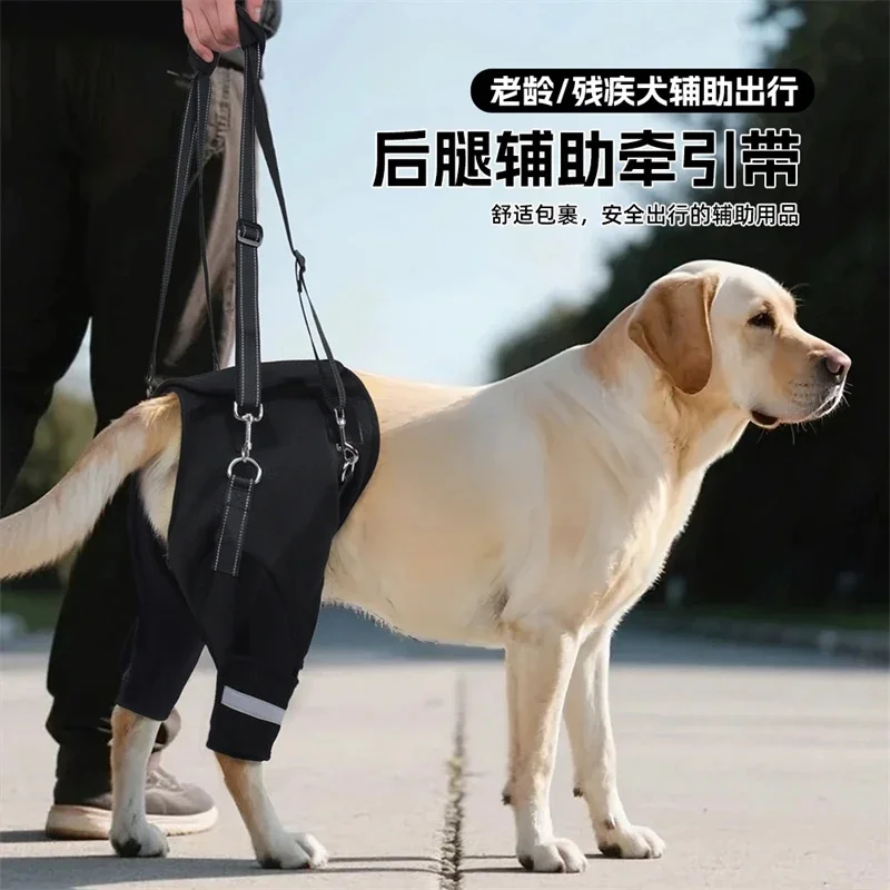 Adjustable Dog Lift Harness For Back Legs Support Elderly Disabled Pet Aid Recovery Walking Assistance Padded Hip Sling