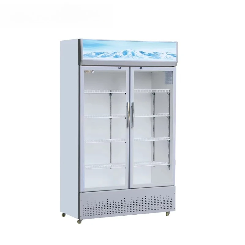 Vertical Drink Refrigerating Showcase Beverage Display Cooler 2 Door Refrigerator