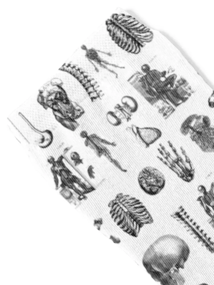 Anatomy Socks floral Stockings man soccer anti-slip kawaii Socks Women's Men's