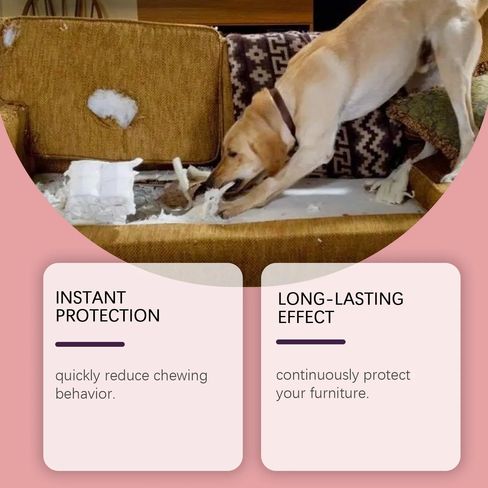 الحيوانات الأليفة مكافحة مضغ رذاذ الكلب السلوك التدريب المعونة البخاخ المريخ لاستخراج مضغ لعق الأثاث الأحذية 100 مللي #5