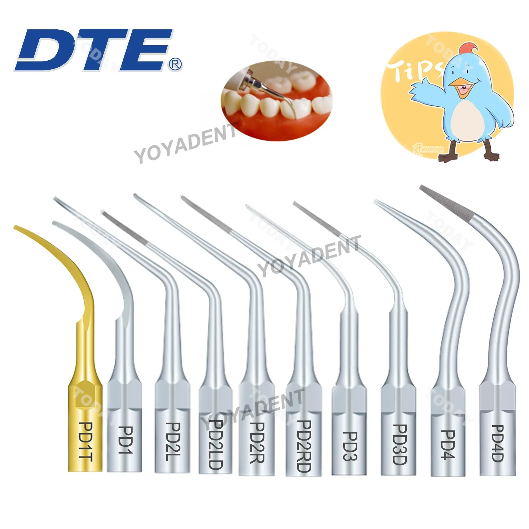 Woodpecker DTE Dental Ultrasonic Scaler Tips For Endo Periodontics Activation Fit DTE/NSK SATELEC Ultrasonic Scaler Handpiece