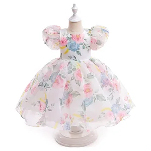 Mode Mädchen weiße Prinzessin Kleid Tulle Mango Puff Hochzeitsfeier Kinder für Mädchen Geburtstag Kinderkleidung Kleid gekleidet 12 Hauptverkäufe weißes Kleid für Mädchen 10 Jahre - №11