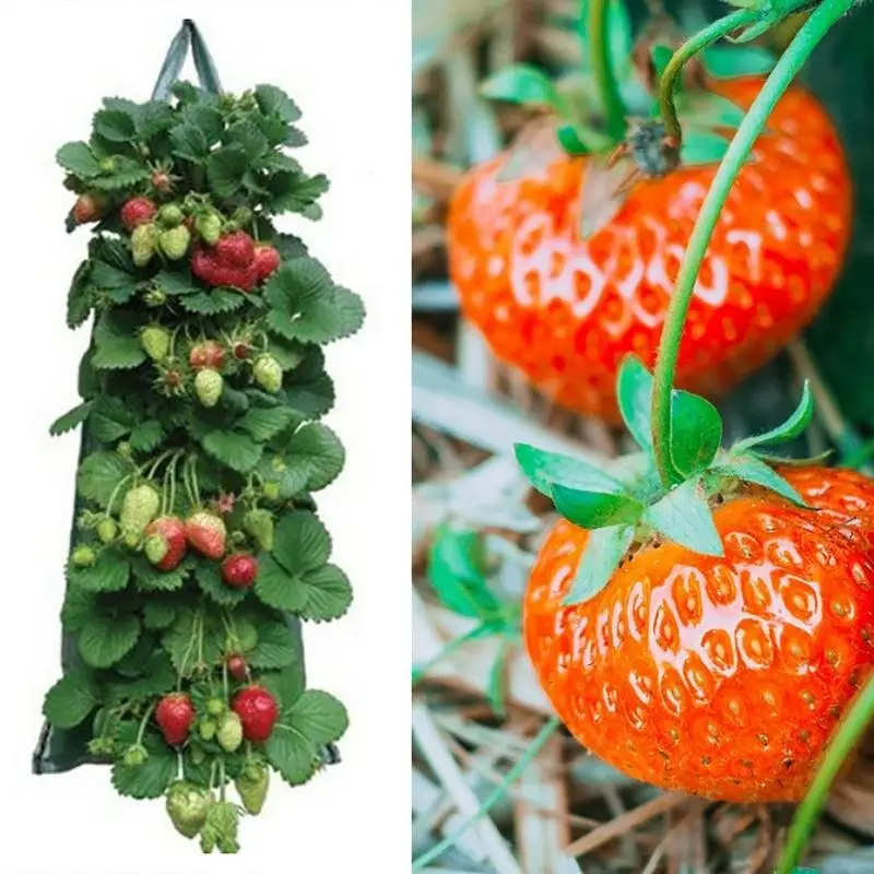 Strawberry Grow Bags Hanging Vegetable Flower Plant Grow Bag Aeration Fabric Pots With Handles Thickened Garden Bags For Garden