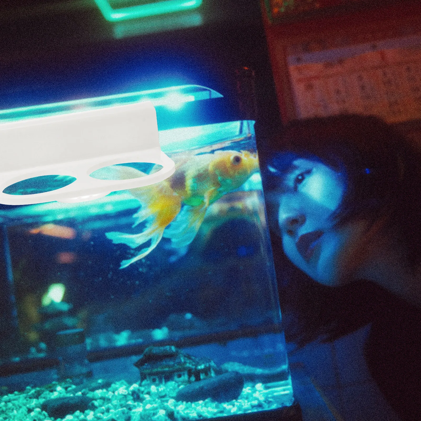حامل كيس الفلتر 95 مم بفتحتين - مراجعة Aquarium & Marine Museum Universiti Malaysia Sabah Kota Kinabalu Sabah Photos وسعره