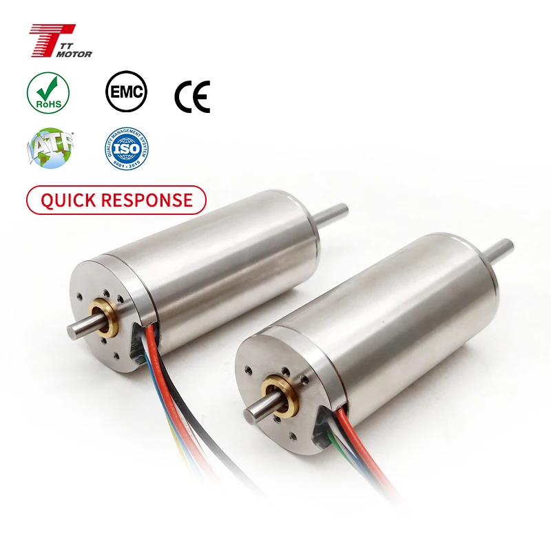 Motor CC sin escobillas sin núcleo de 24V 48V 30mm, alternativas para el hogar inteligente de 5mm, motor Maxon de imán permanente de 12V