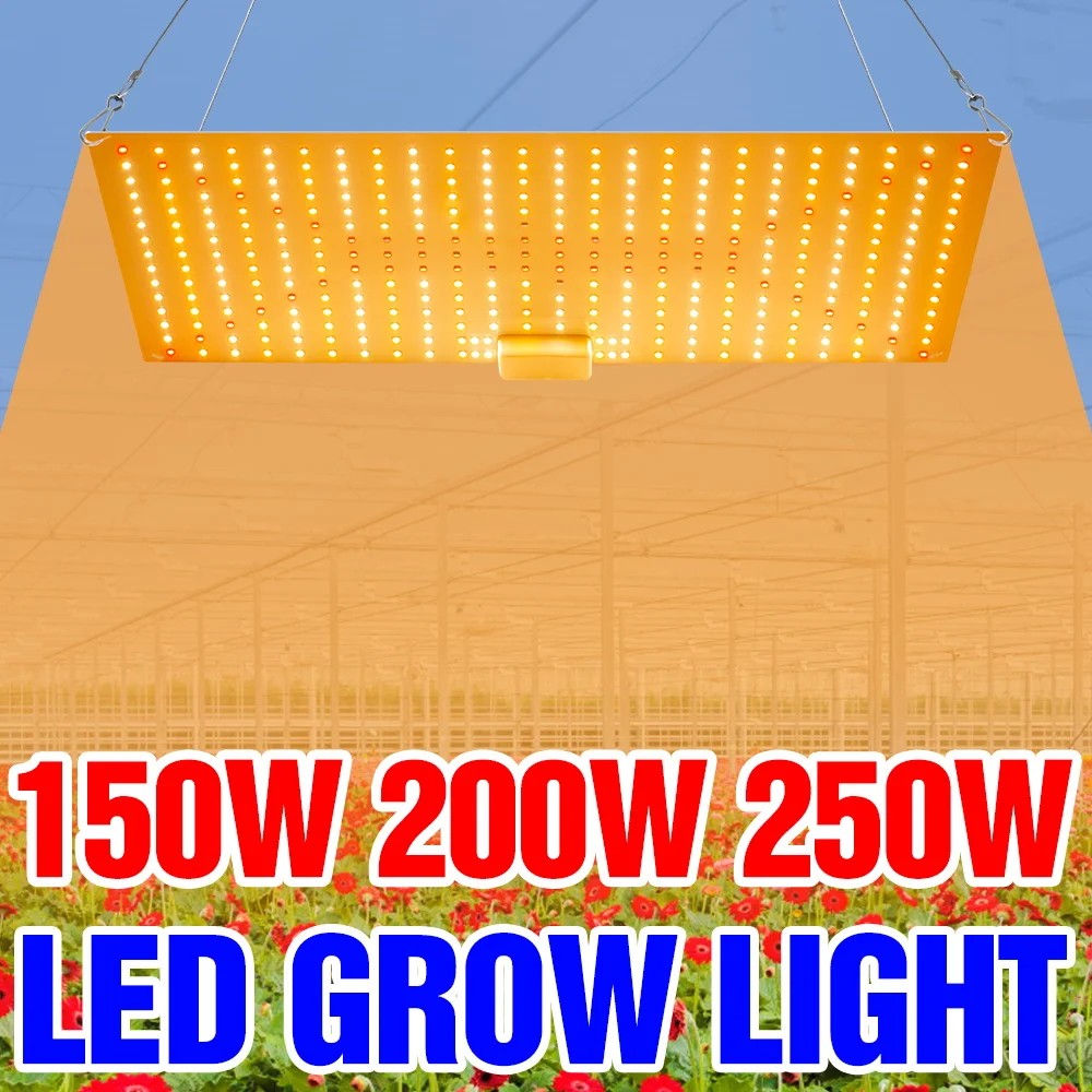 

Светодиодная лампа для растений 250 Вт, полный спектр, для выращивания в помещении, квантовая панель, дополнительное освещение для теплиц, палаток, овощей, кактусов, семян, гидропоники