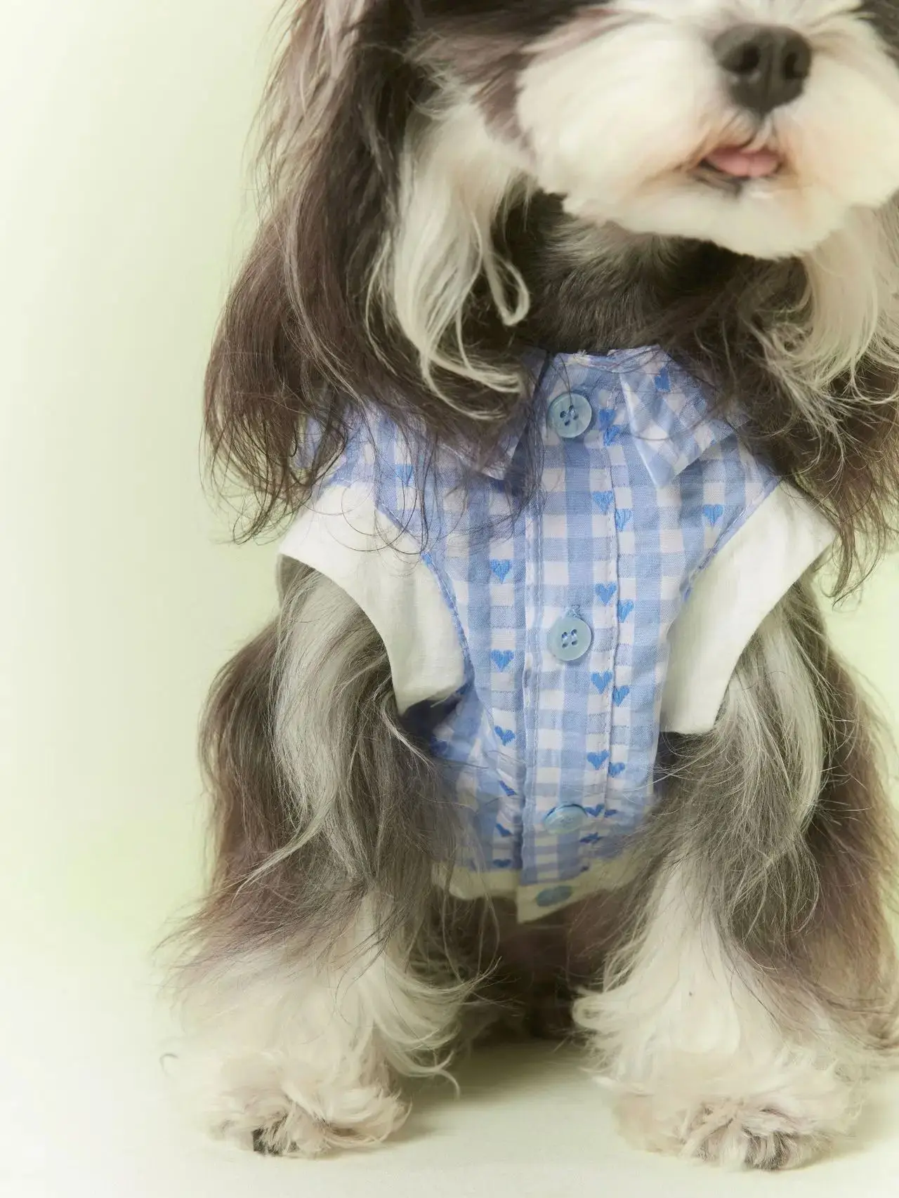 

Fresh Korean Style Pet Sundress | Blue Gingham Heart Print Dog Dress with Large Bow for Maltese & Yorkie Chihuahua