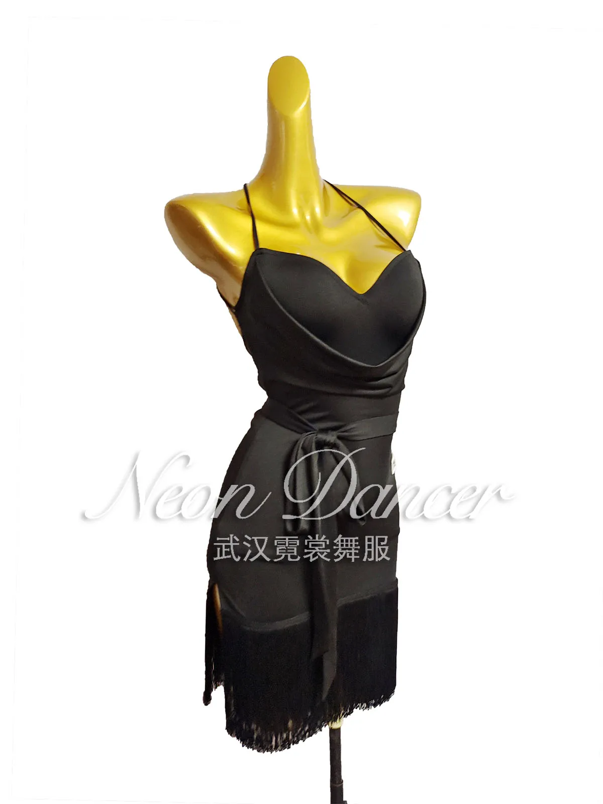 Neon Dancer New Women\'s Latin Dance Outfit, Swing-Neck Tassel Dress, Backless Practice Outfit