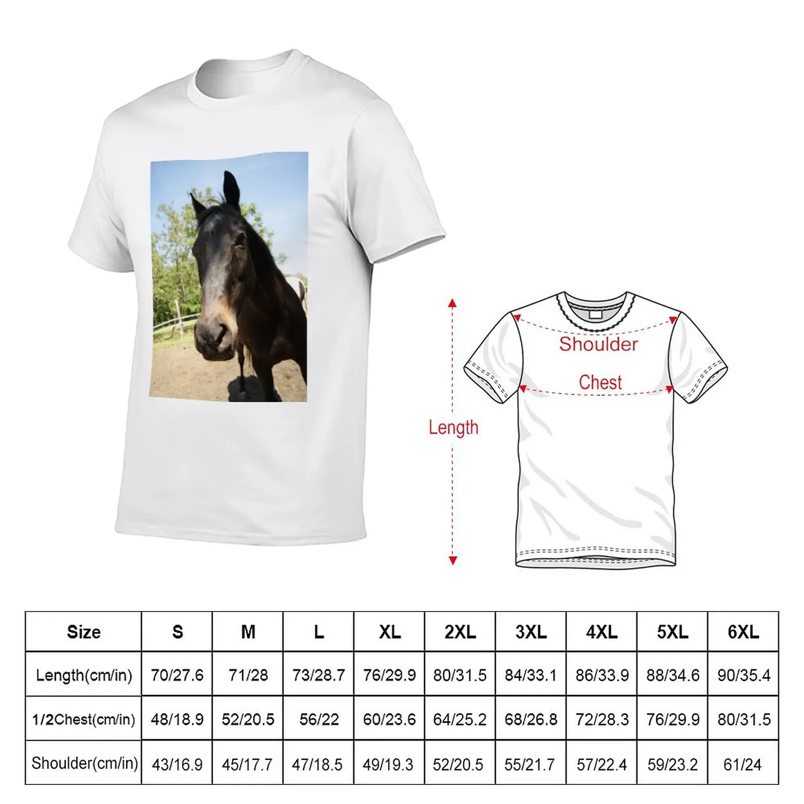 stallion man T-Shirt quick drying shirt Aesthetic clothing black t-shirts for men