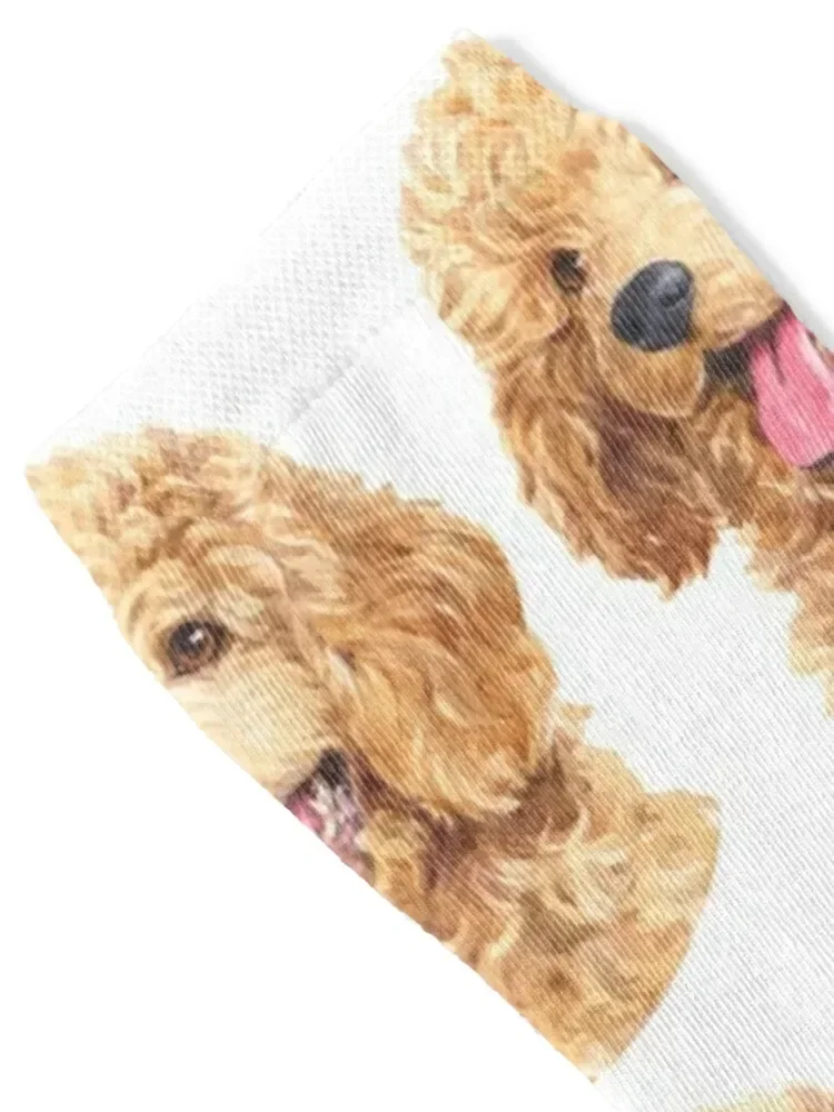 Apricot Toy Poodle Watercolor Art Socks anti slip football Sports Non-slip Men Socks Luxury Brand Women's