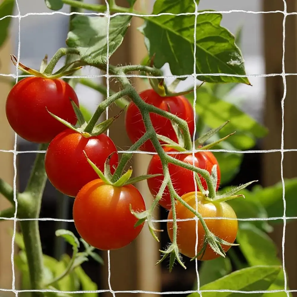 Heavy-Duty Polyester Plant Trellis Netting 5 x 30t (1 Pack)