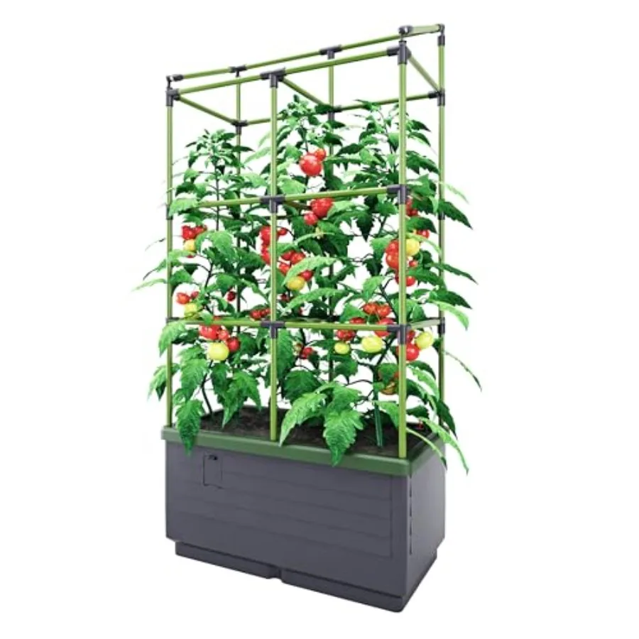 Raised Garden Bed W…