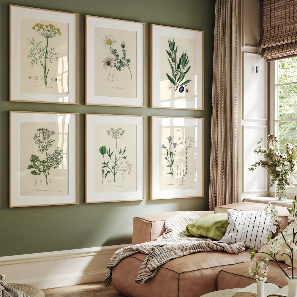 Retro Plant Illustration French Country Style Herbal Flowers Living Room/Entrance Hall Decoration Poster - Frameless