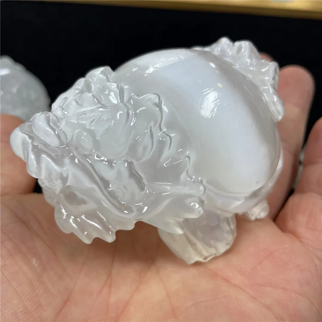 6-15CM Natural White Selenite Crystal Quartz Electroplate Dragon Turtle Home Office Decorations Reiki Healing Animal Folk Art