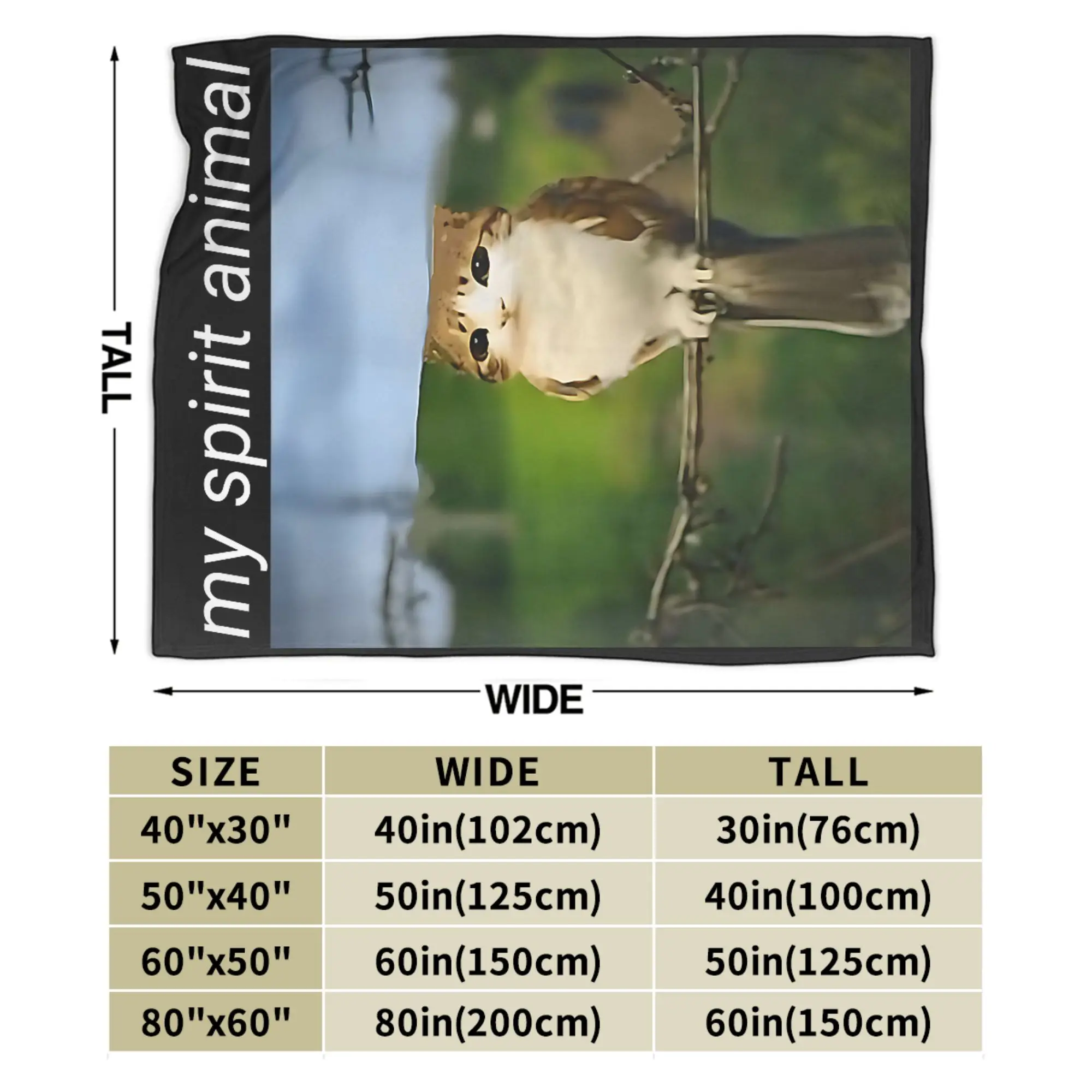 روحي الحيوان مضحك meowl ميمي بطانية سوبر الدافئة القط البومة ميمي brainrot رمي بطانية الشتاء السفر الأريكة السرير المفرش #6