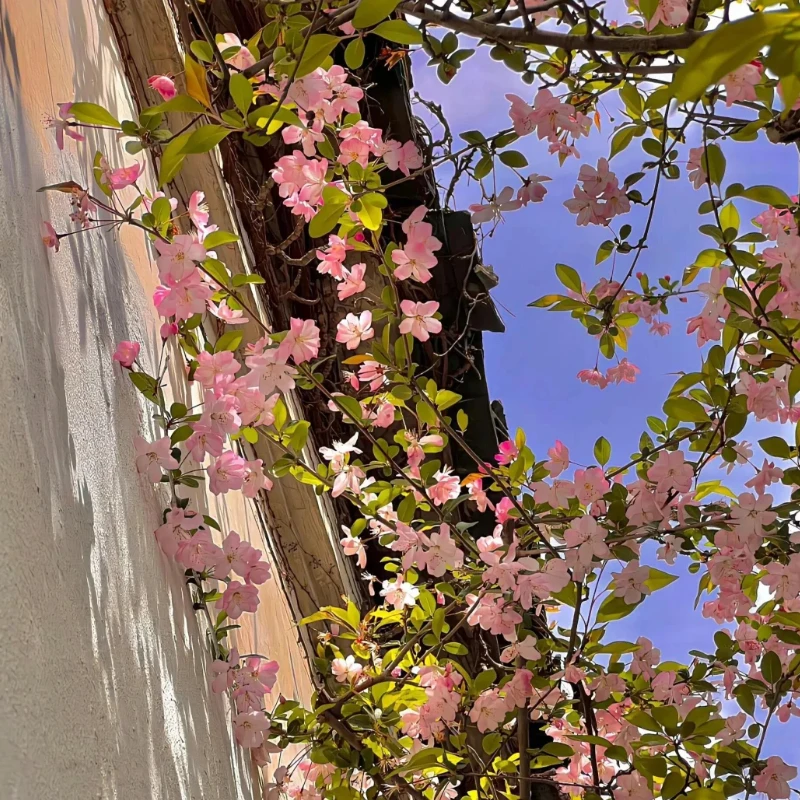 

FLYCOLOR X-TOWER 2 F7 60A 4 в 1 ESC Летающая башня/Stack FPV Bluetooth для регулировки параметров Светодиодный контроль полета