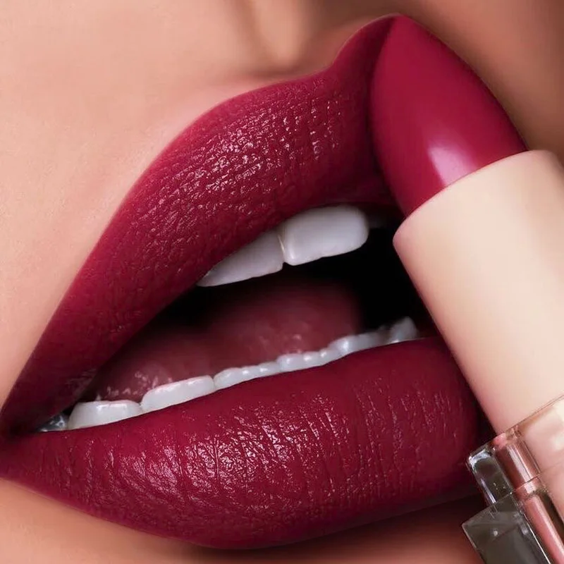 Matte Lipstick Waterproof Velvet Lip Stick Long Lasting Brown Burgundy Tint Nude Sexy Lipstick Women Makeup Cosmetics