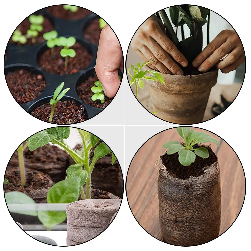 

1Set 50 Peat Pellets Compressed Peat Blocks Nursery Nutrient Soil High Water Holding Capacity for Balcony Garden