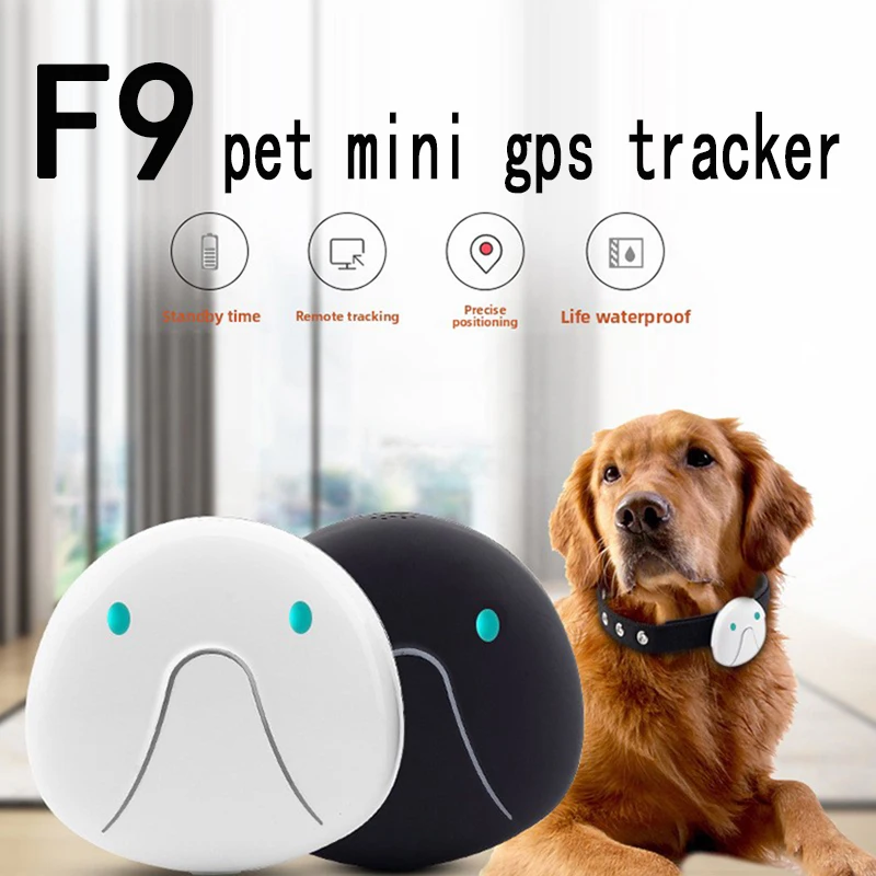 2G 4G Pet Mini GPS Locator F9 для кошек и собак Водонепроницаемый IP67 Маленькие домашние животные GPRS Трекер позиционирования Ошейник Дистанционный монитор Голосовой вызов