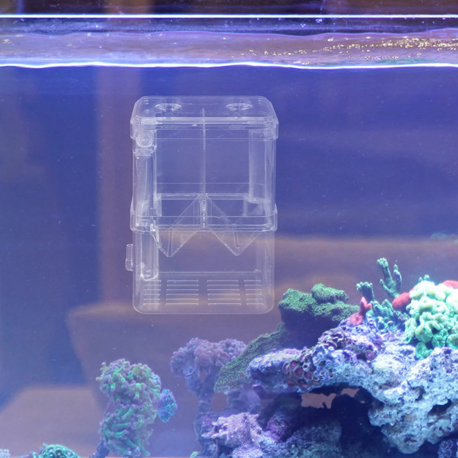 

Airflow Design Transparent Breeding Box For Aquarium Fish Shrimp Hatching Incubator Pet Isolation Tank Nursery Crisper