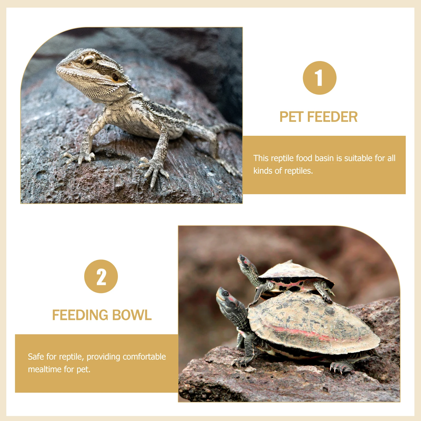 

Reptile Basin Lizard Deep Food Holder Tortoise Water Deep Water Basin Bowl Resin Pet Feeder Crawling Pet Supplies