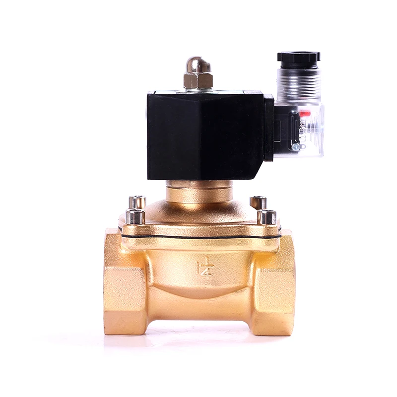 Outdoor waterproof normally closed solenoid valve, water pipe solenoid on/off valve 4 minutes 6 minutes 1 inch AC220VDC24V12V