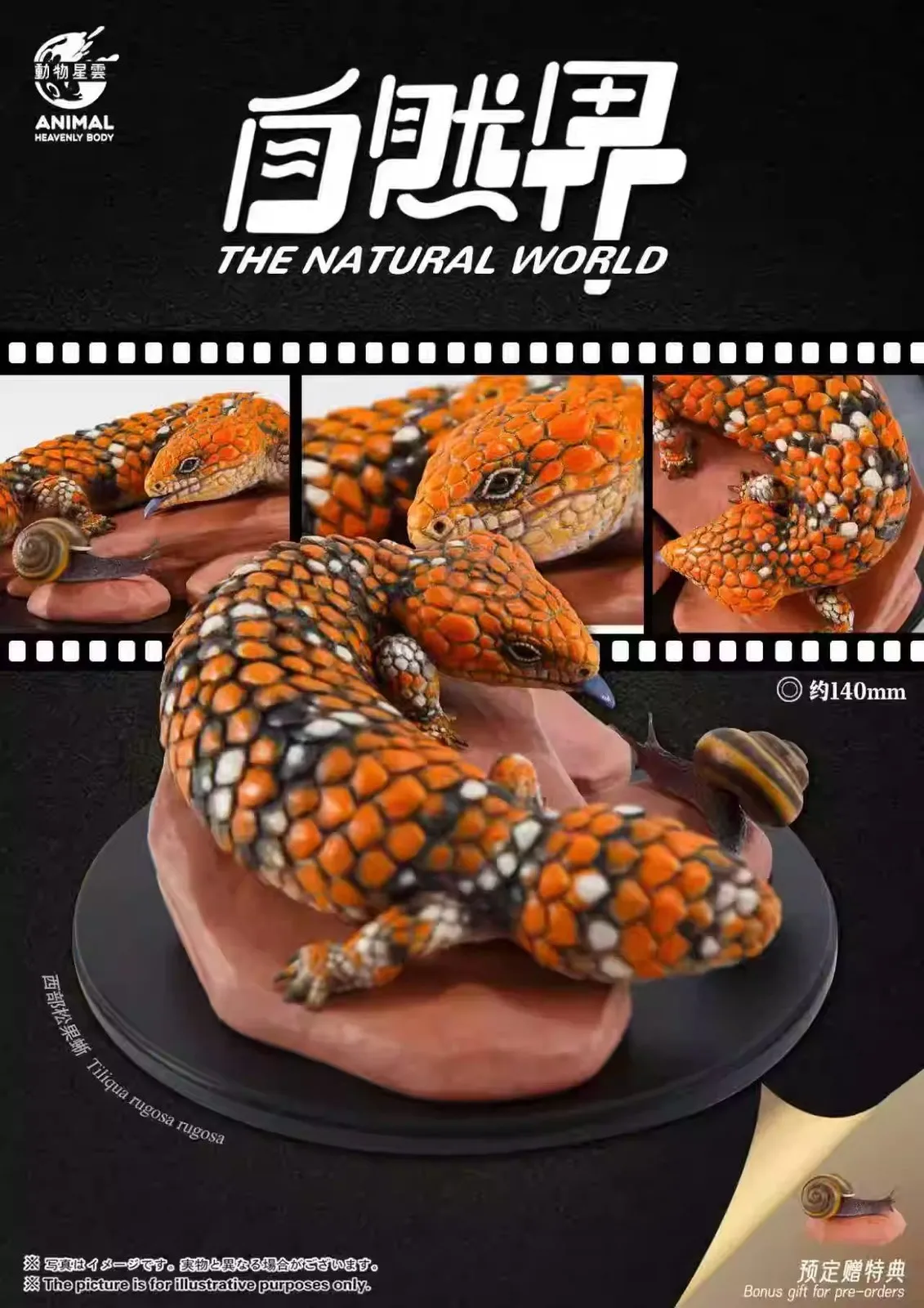 

Animal Heavenly Body Studio Trachydosaurus Rugosus Model Animal Realistic Scene Decoration Birthday Gift