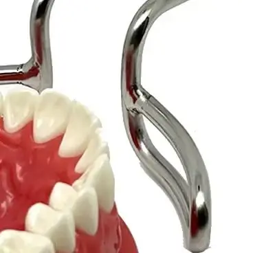 

Dental Mouth Retractor Double Headed Lip Cheek Retractor Stainless Steel for Intraoral Access Upper Lower Lip Separation