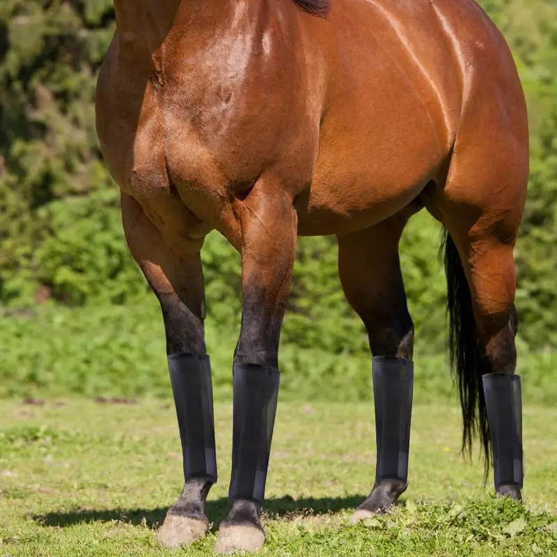 Juego de 4 mallas reutilizables para caballos, botas con mosca, minimiza la fatiga de las piernas, reduce el pitido