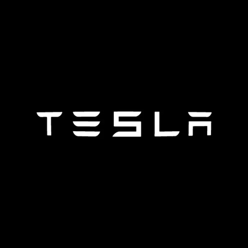 2/4 stuks Auto Deur LED Logo Projector Lampen HD Welkomslicht 3D Laser Ghost Shadow Licht voor Tesla Model Y 3 S X Auto Accessoire