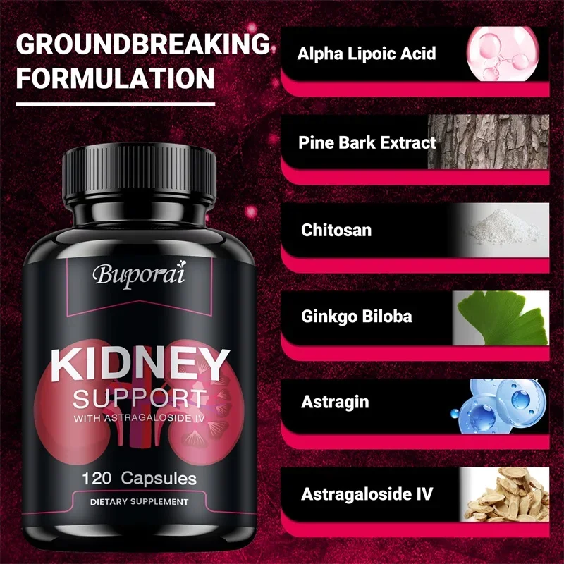 دعم الكلى - يساعد على تنظيف وإصلاح الكلى، ويقلل من التوتر والانزعاج، ويحسن صحة المسالك البولية، ويعزز الطاقة #3