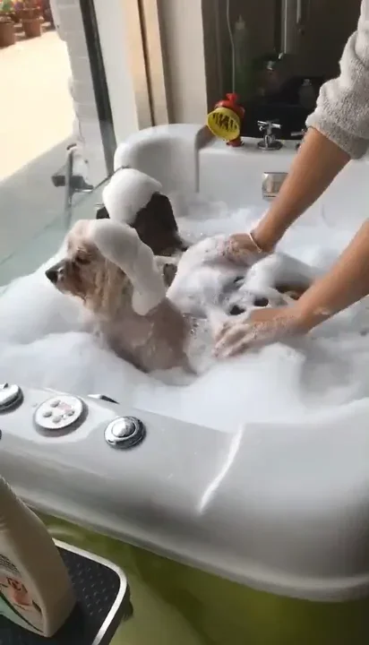 Pet SPA Milk Bathtub