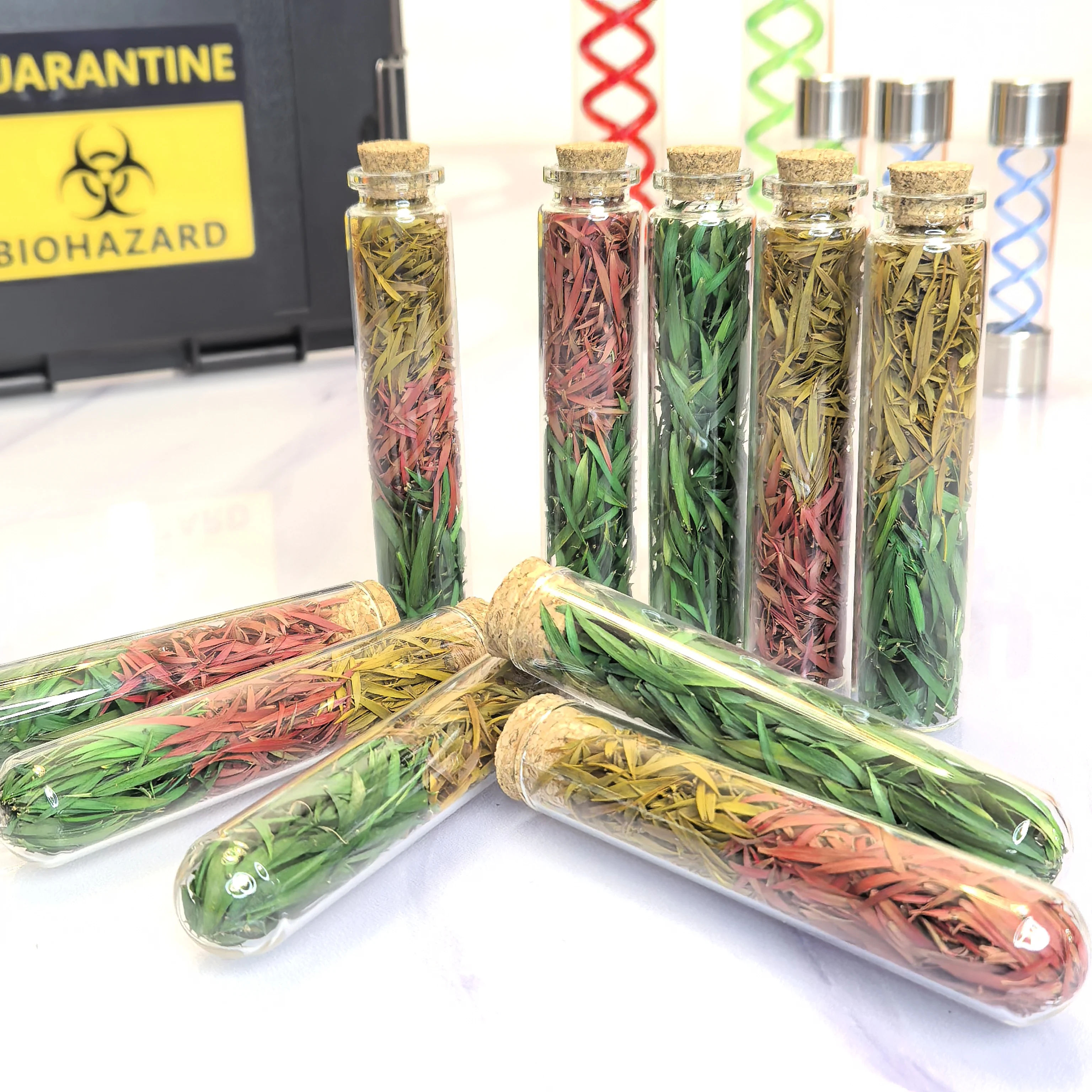 

New Resident Evil Remake T-Virus First Aid Spray Herb Handmade Model Film Prop Replica