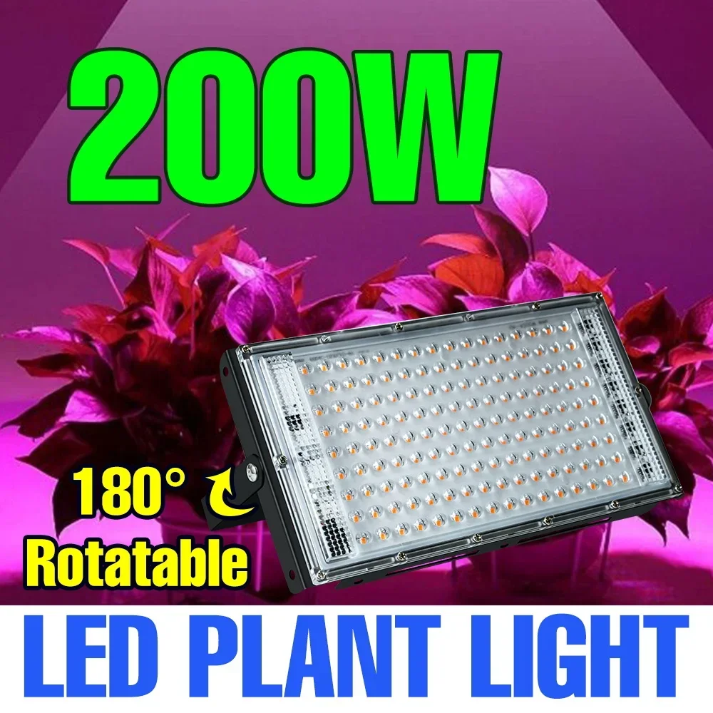 

200W LED Grow Light Full Spectrum Phyto Lamp IP65 Waterproof Indoor Fruit Succulent Hydroponics Cultivation Plant Fill Lighting