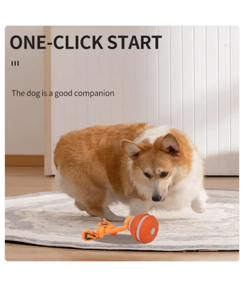 Thumbnail 3 - #30 Trending Dog Fetch Toys Right Now