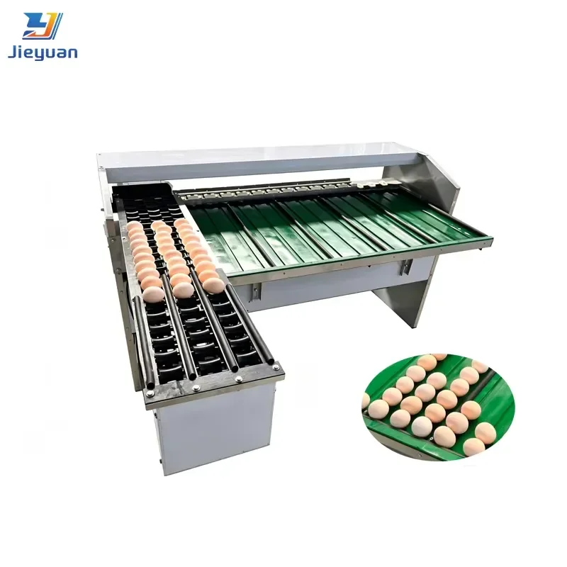 Egg Sorting Machine for Chicken and Duck Eggs Sorting Eggs by Weight and Size Stainless Steel for Use in Poultry Farms