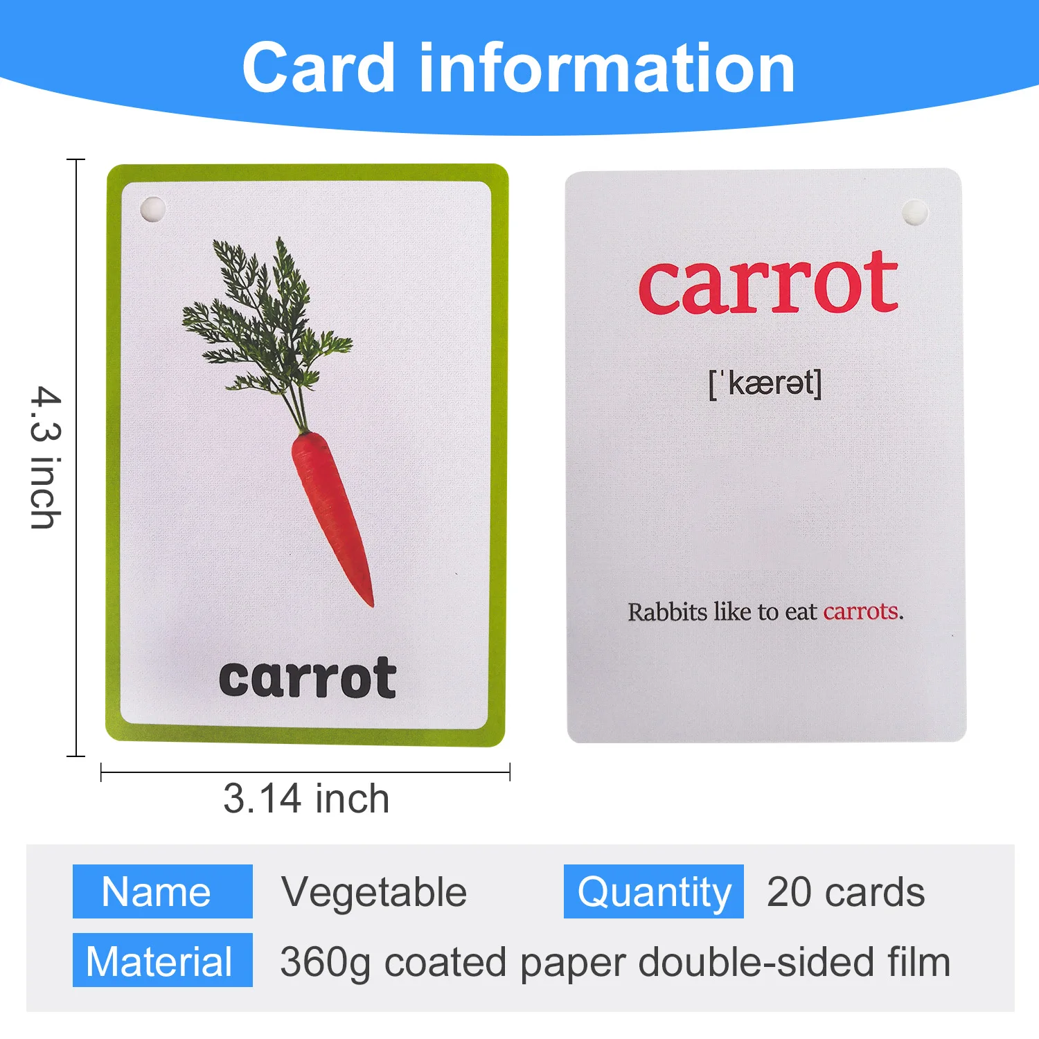 20Pcs Theme Vegetable English Words Flashcards for Kids Double Side Vocabulary Learning Card Pocket Cards Learning Toys