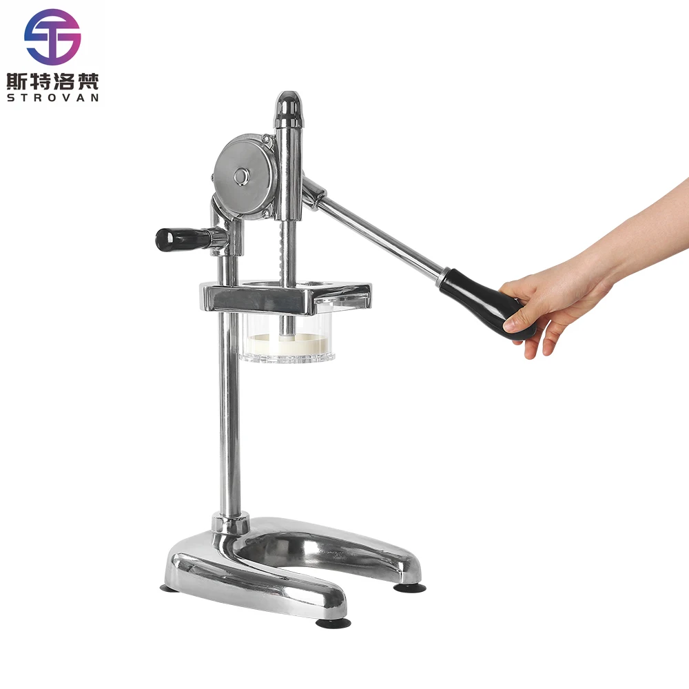 Stlf Jw French Fry …