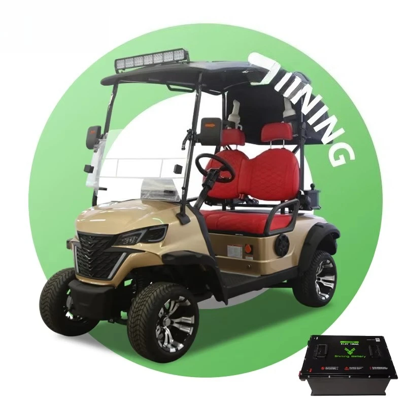 Electric golf cart with 2 seats, road legal, luxury 72V battery, speed 50-70 km/h, range coverage 90 km