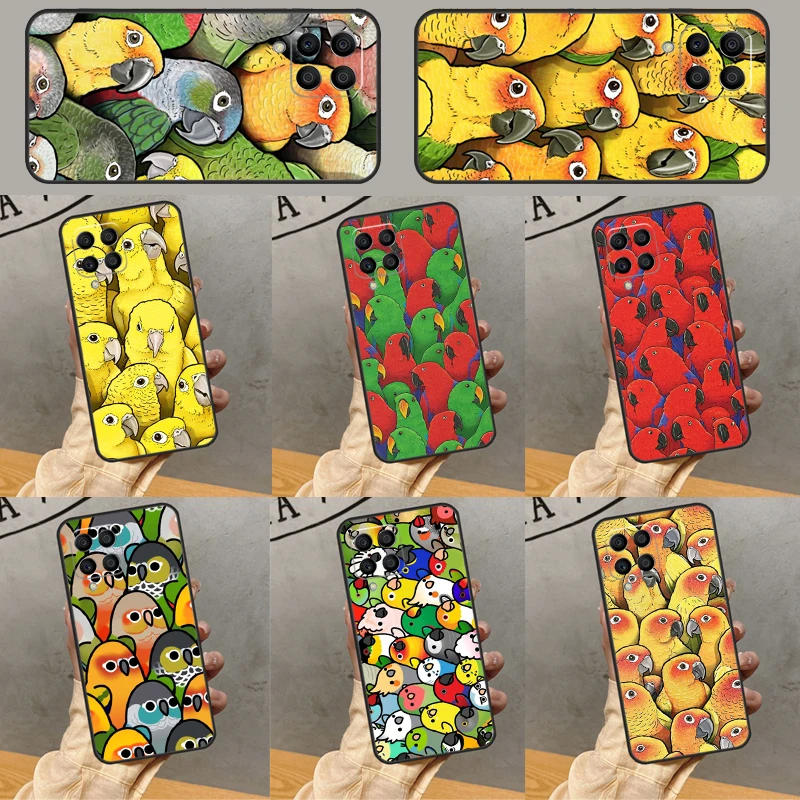 Parrot Posse For Sa…