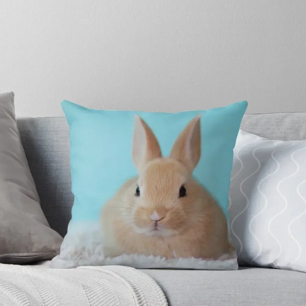 

Cute Brown Bunny Throw Pillow Anime pillow cover christmas Cushions Cover Decorative Cushions For Luxury Sofa pillow
