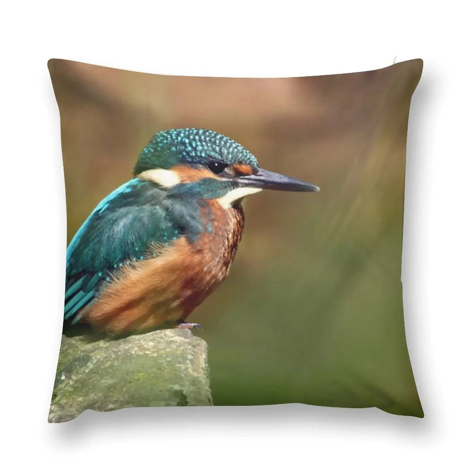 Kingfisher Throw Pillow Decorative Sofa Cushions Ornamental Pillow pillow