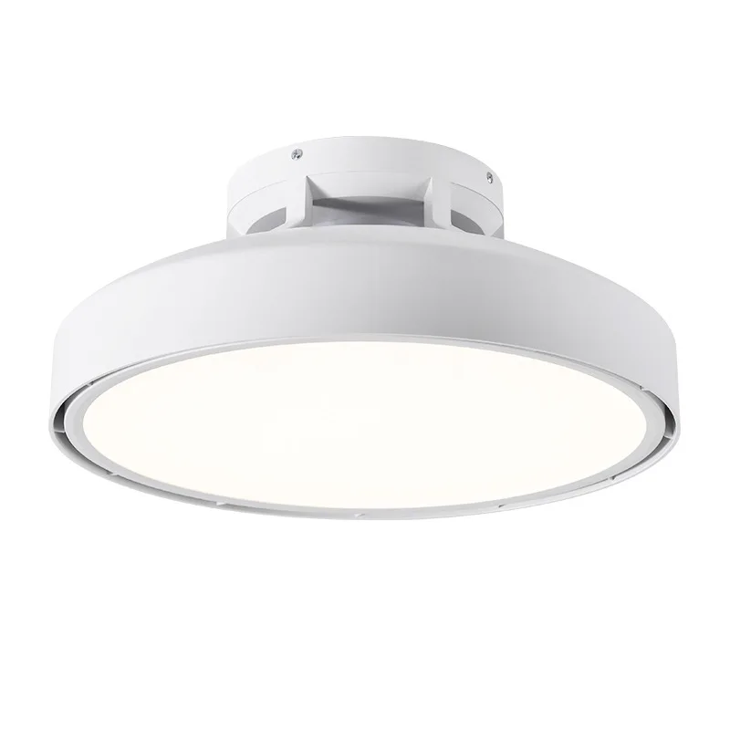 

Modern minimalist smart invisible leafless dining room bedroom with light