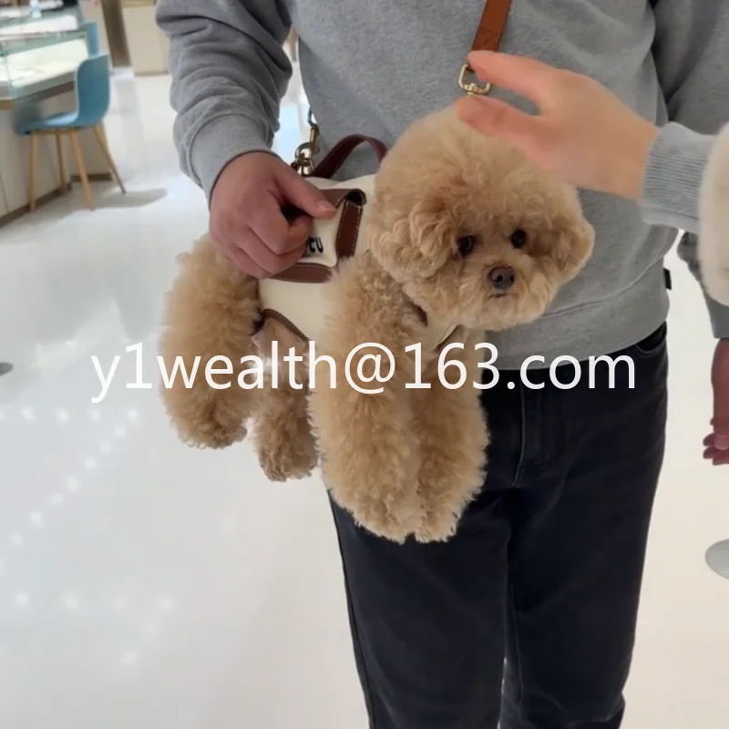 Dog bag out back shoulder crossbody pet medium and small dog leash cat light chest large capacity breathable