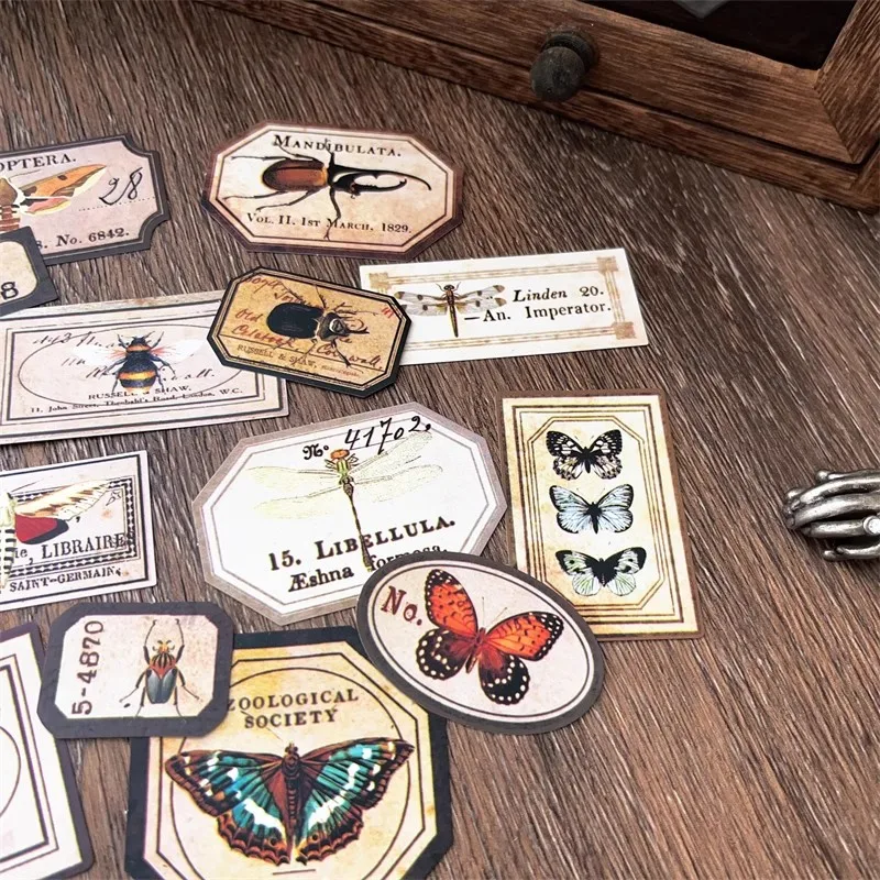 Retro Insect Specimen Label English Sticker butterfly Diary Vintage Decoration Junk Journal material