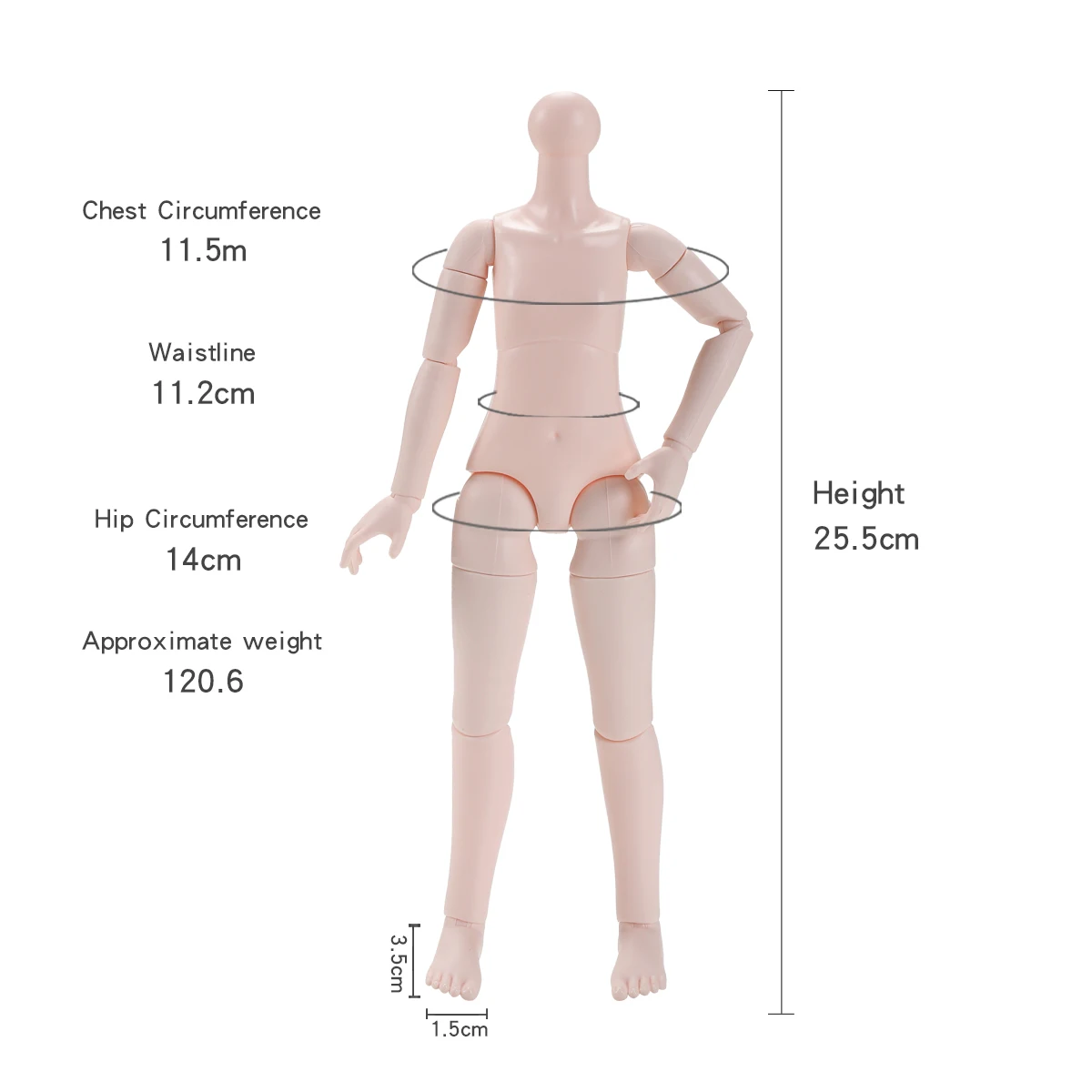 

28CM Multi-jointed Movable Doll 1/6 Supermodel Figure Female Body+Head White Skin Curly Hair Girls Dress-Up Toy Collectible Gift