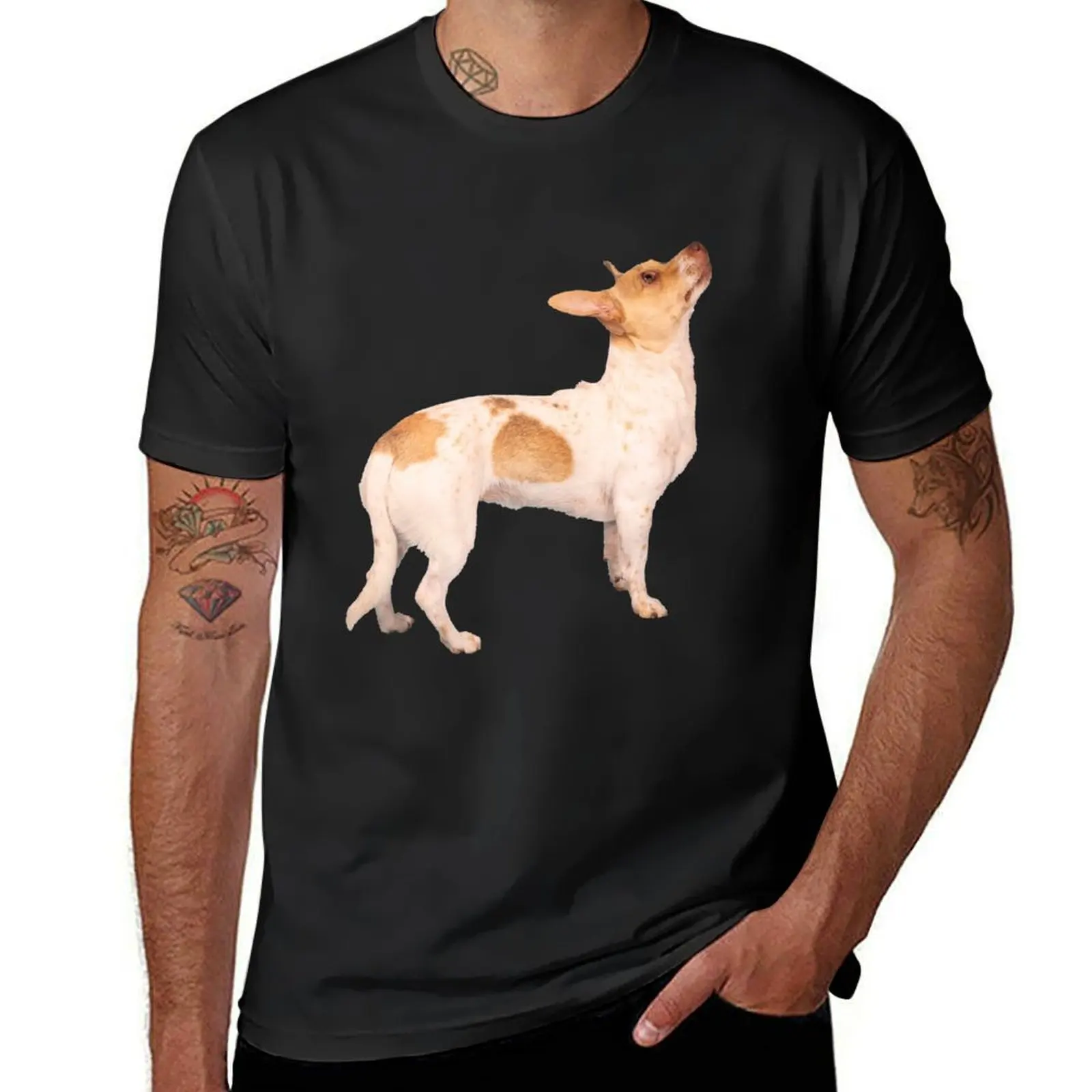 Full body photo portrait of a red and white Chiweenie dog looking up dog lover gift ideas T-Shirt