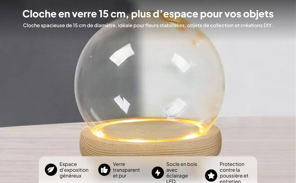 Elegant Glass Cloche Dome with Polished Wood Base Countertop Display Case for 3D Decorative Panel and Miniature Statues