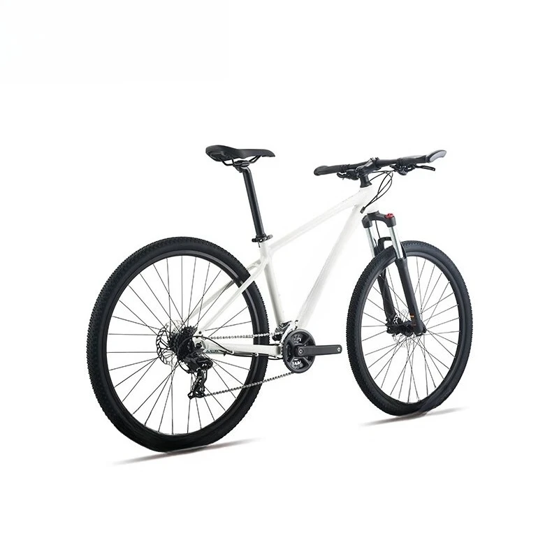 

Shock-absorbing variable speed adult mountain bike