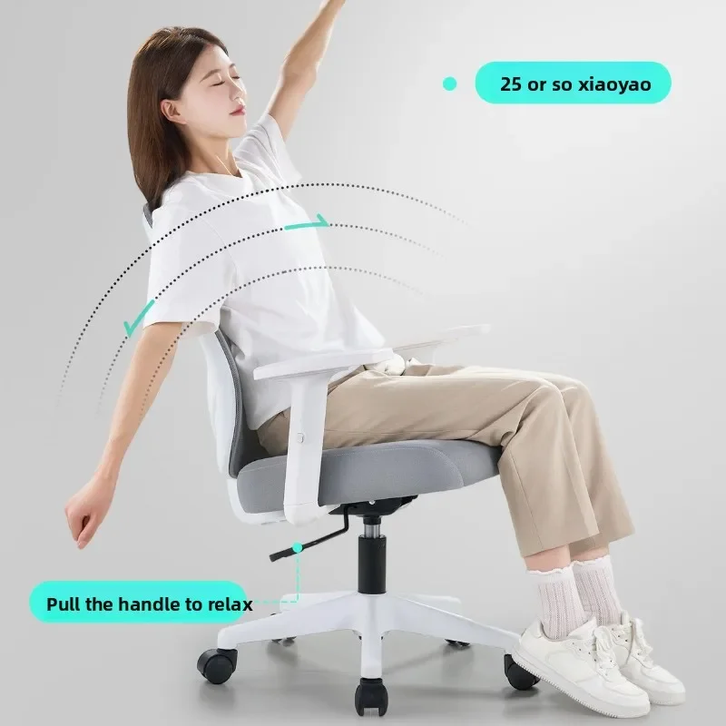 Factory Durable Ergonomic Chair, Office Waist Support, Office Chair, Backrest, Computer Chair, Swivel Chair, Chair